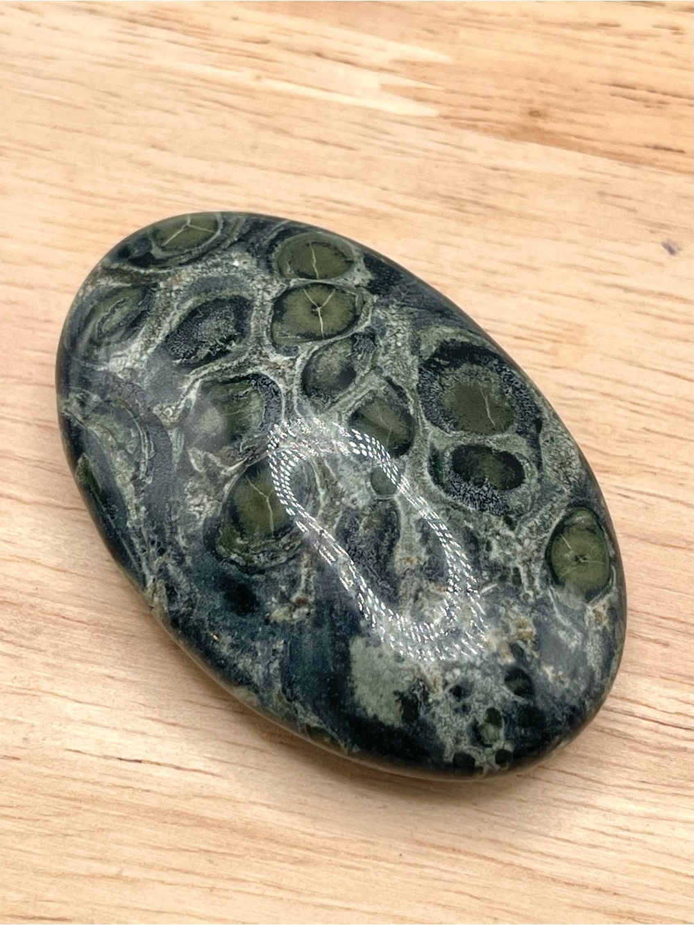 🌑Kambaba Jasper Polished Crystal Palm Stone🌑